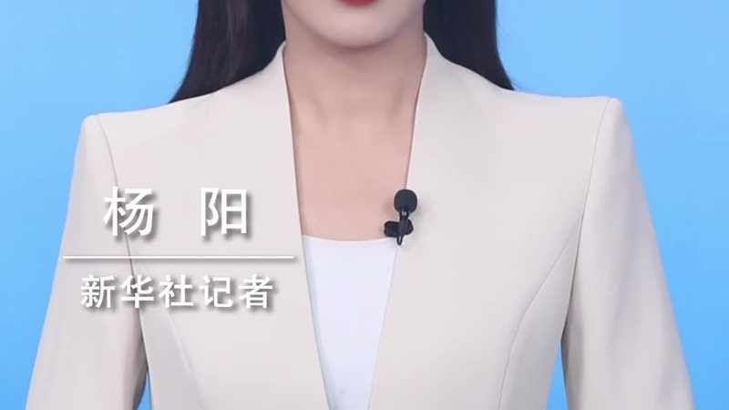 数据中台、大数据平台与数据湖：三者的本质区别与适用场景